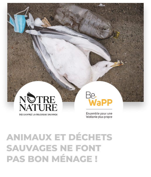 Animaux et déchets sauvages ne font pas bon ménage !