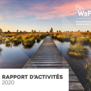 Rapport d'activités 2020