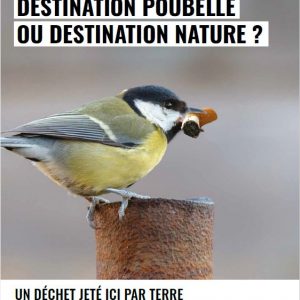 Affiche de l’oiseau et le mégot - TEC