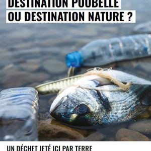 Affiche avec le poisson - TEC
