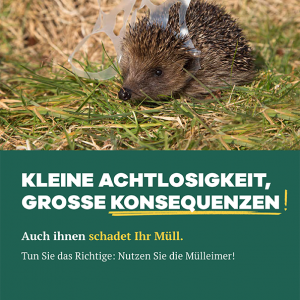 Plakat - Igel - Kleine Achtlosigkeit, grosse Konsequenzen