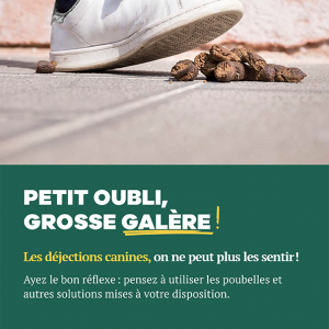Affiche - Déjection canine - Petit oubli, grosse galère (en français)