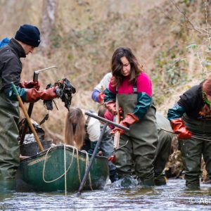 Kit - Rivière plus propre