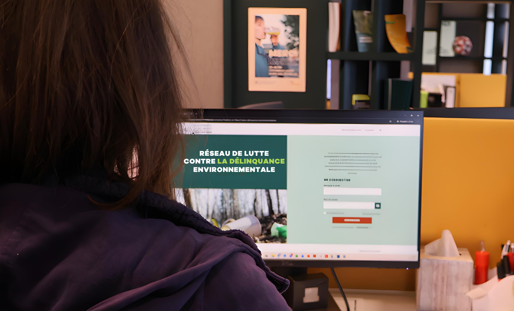 une femme est devant son écran d'ordinateur et navigue sur la plateforme du réseau contre la délinquance environnementale